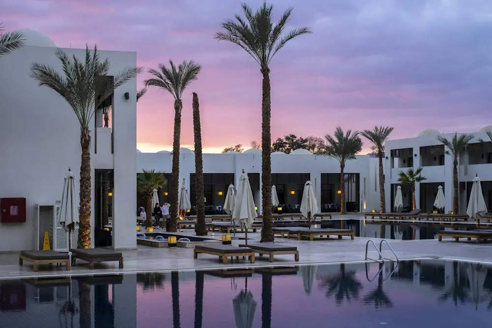 Piscina de un hotel con palmeras al atardecer